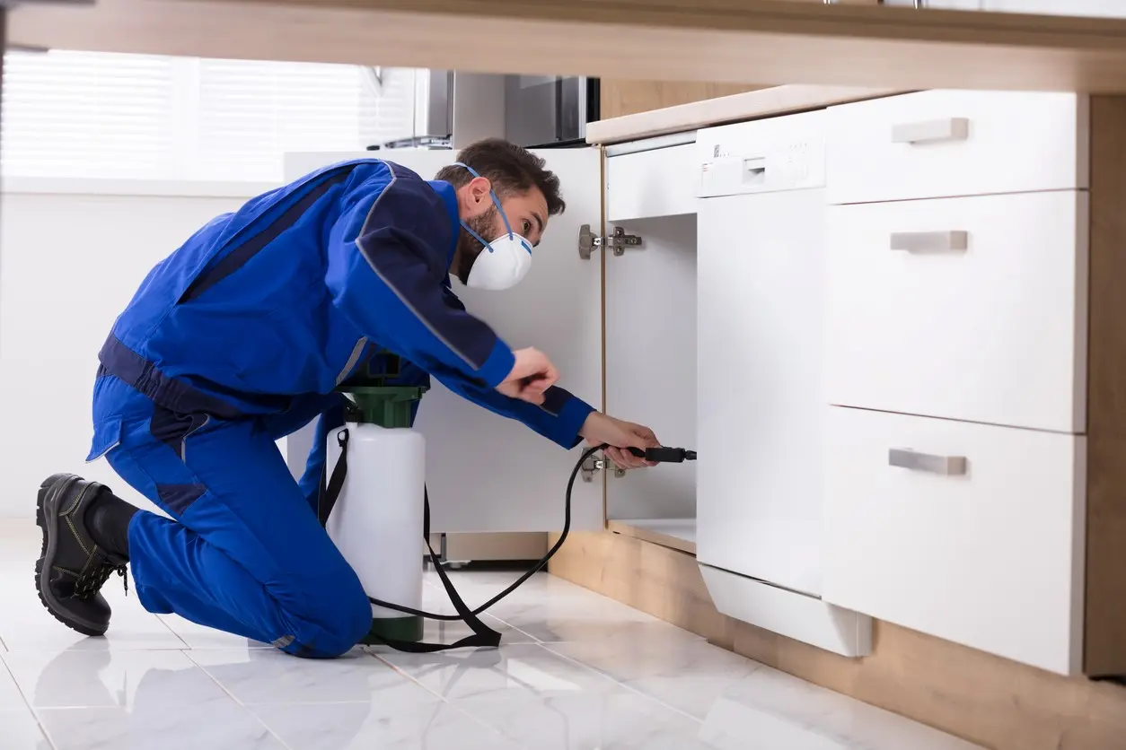 A pest control professional applies a chemical spray to a cabinet.
