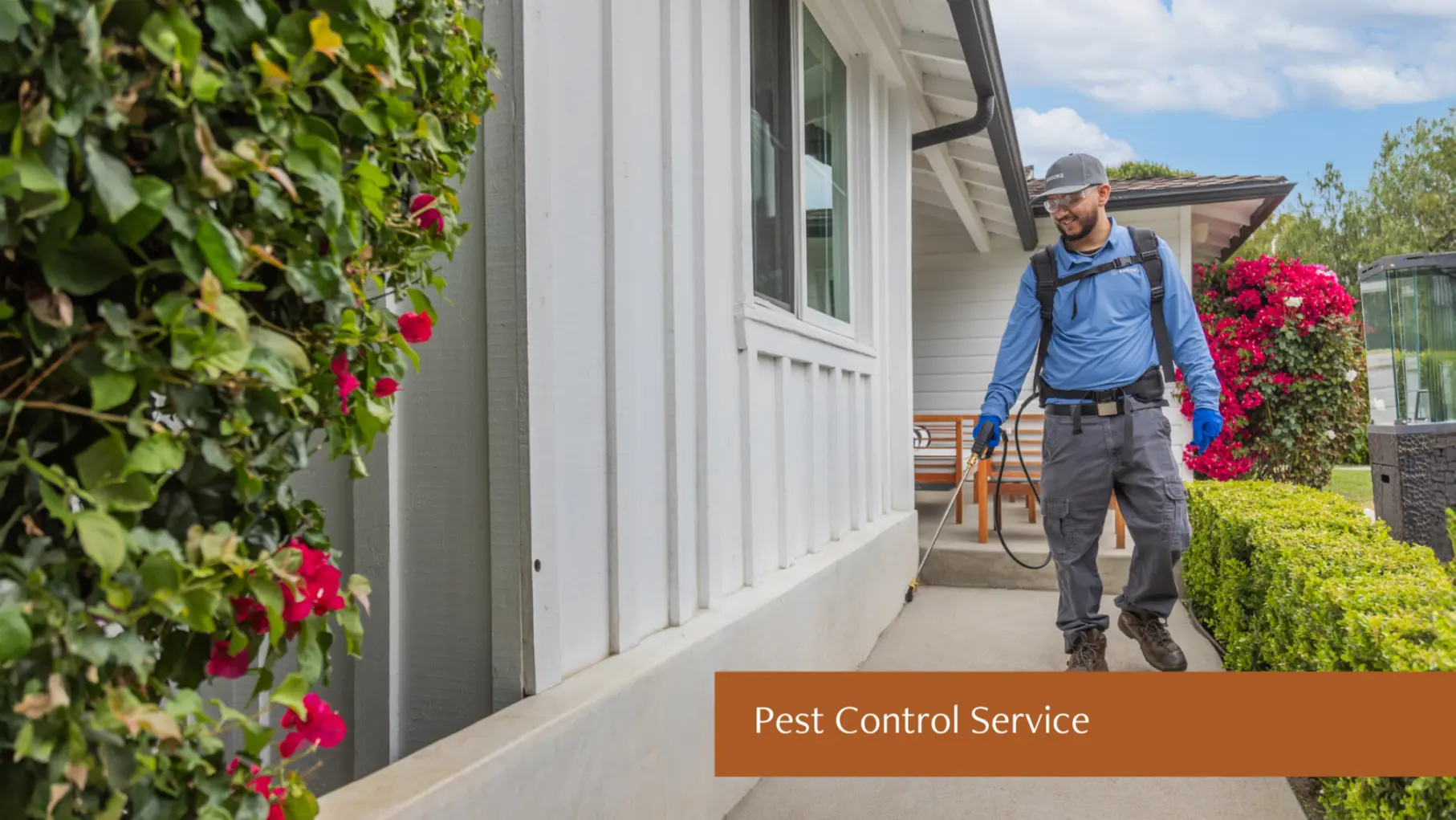 Professional Pest Control