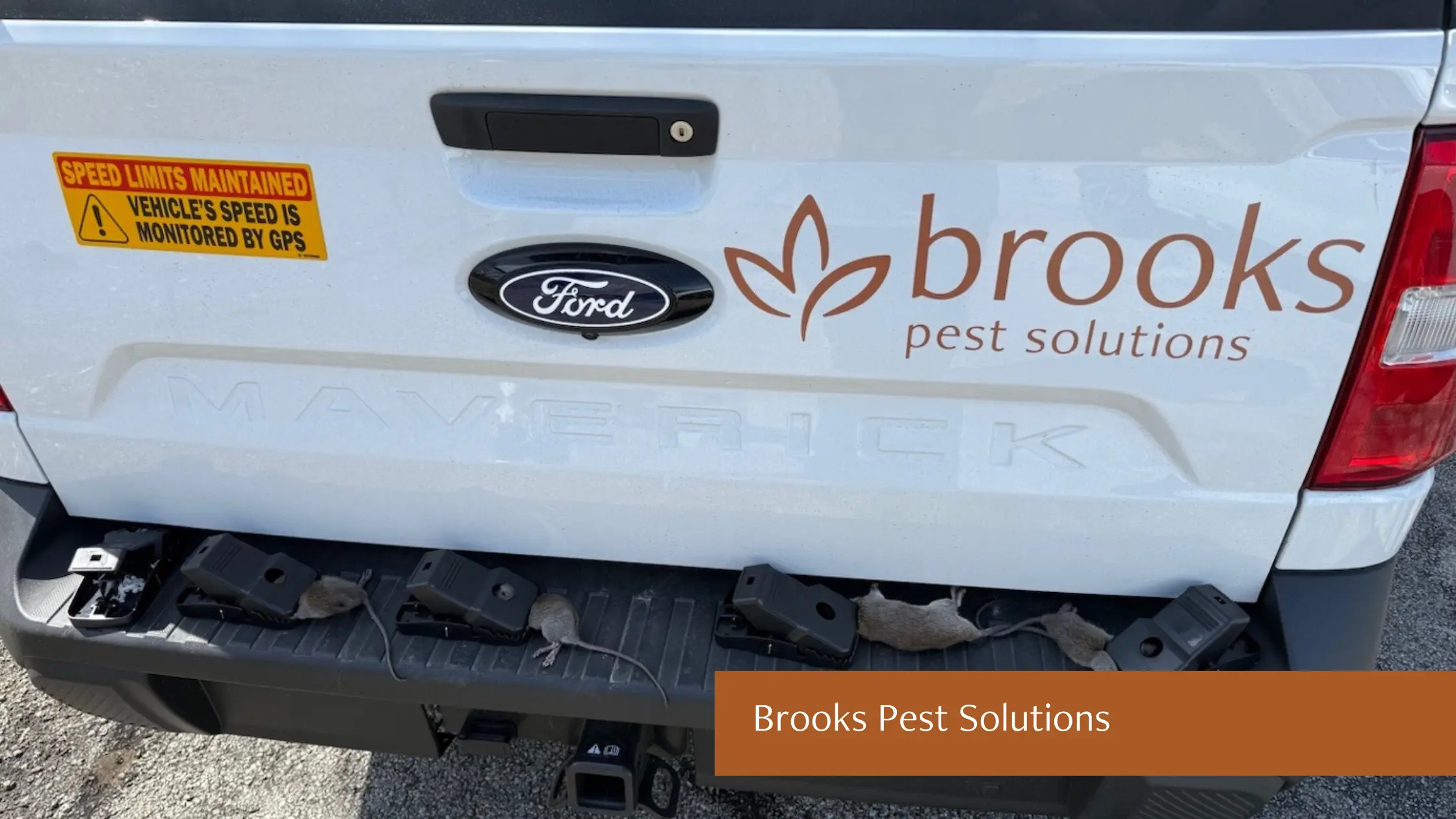Brooks Pest Solutions