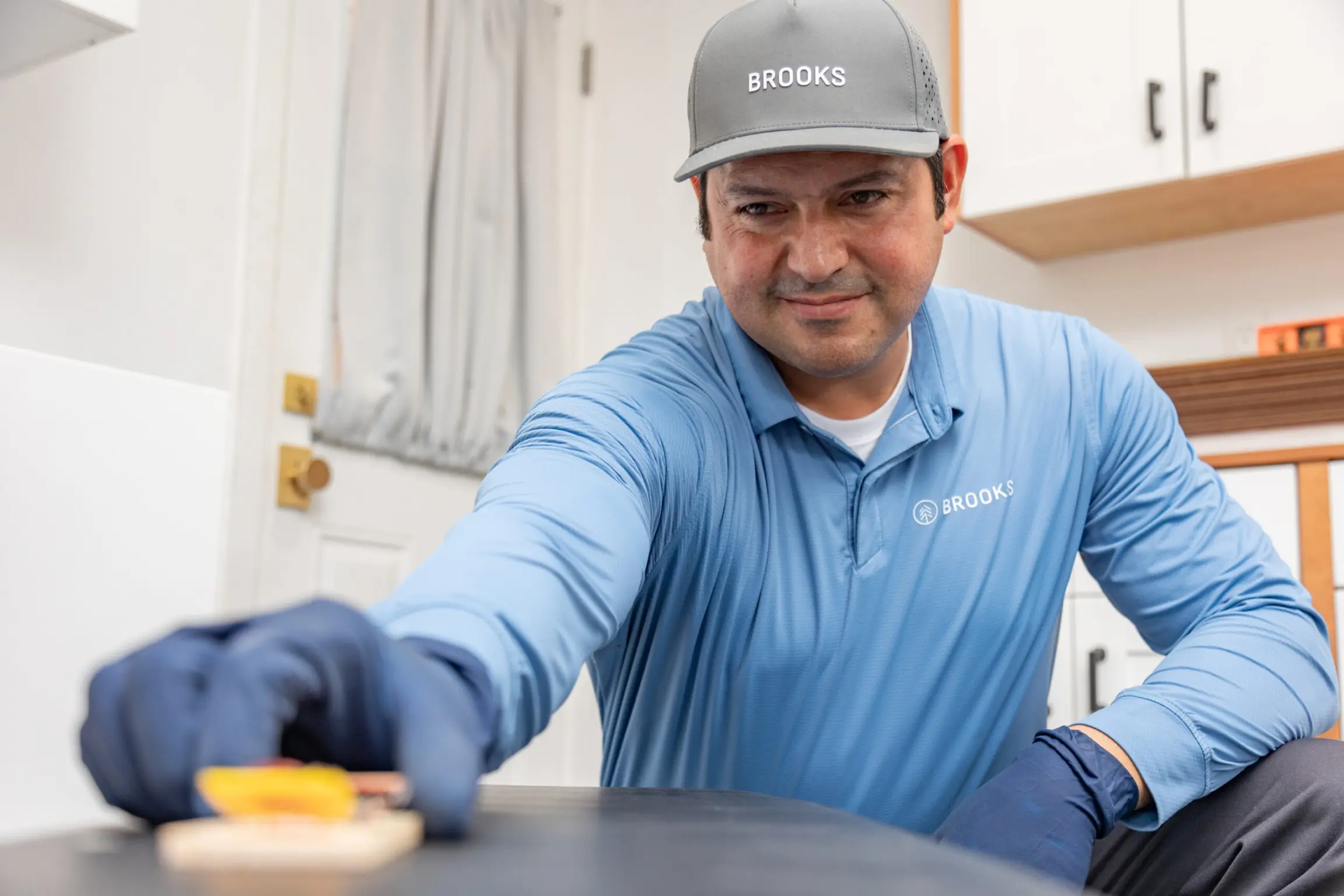 Exterminator for Pests