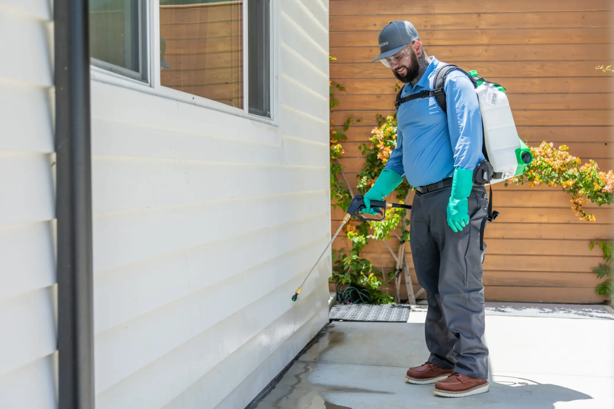 Why You Need a Professional Exterminator for Pests