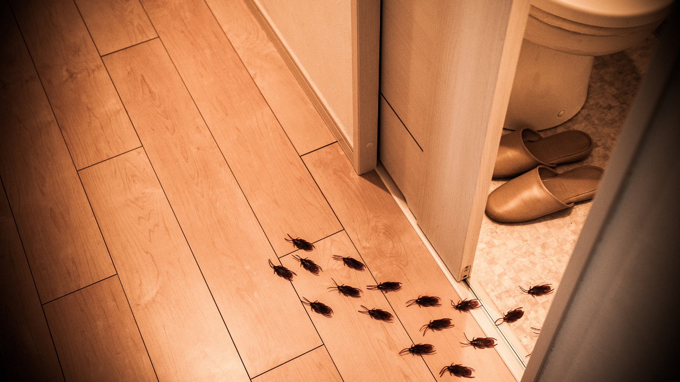 Household Pests