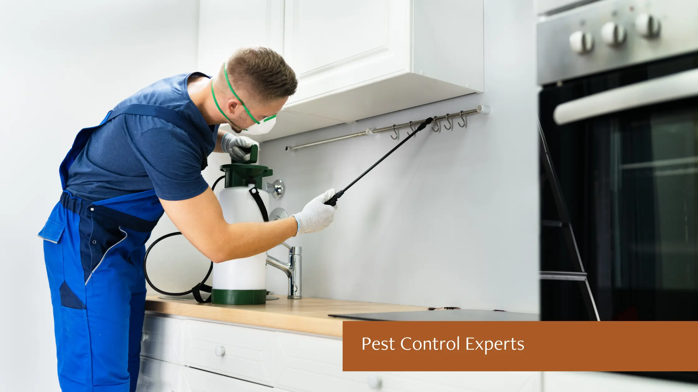 Pest Control Experts