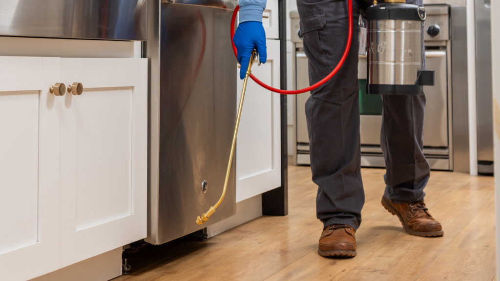 professional pest control services