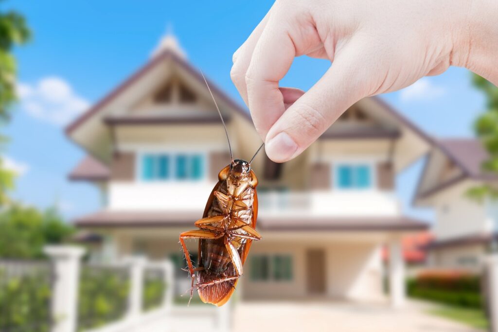 How to Prepare Your Home for Spring Pest Control