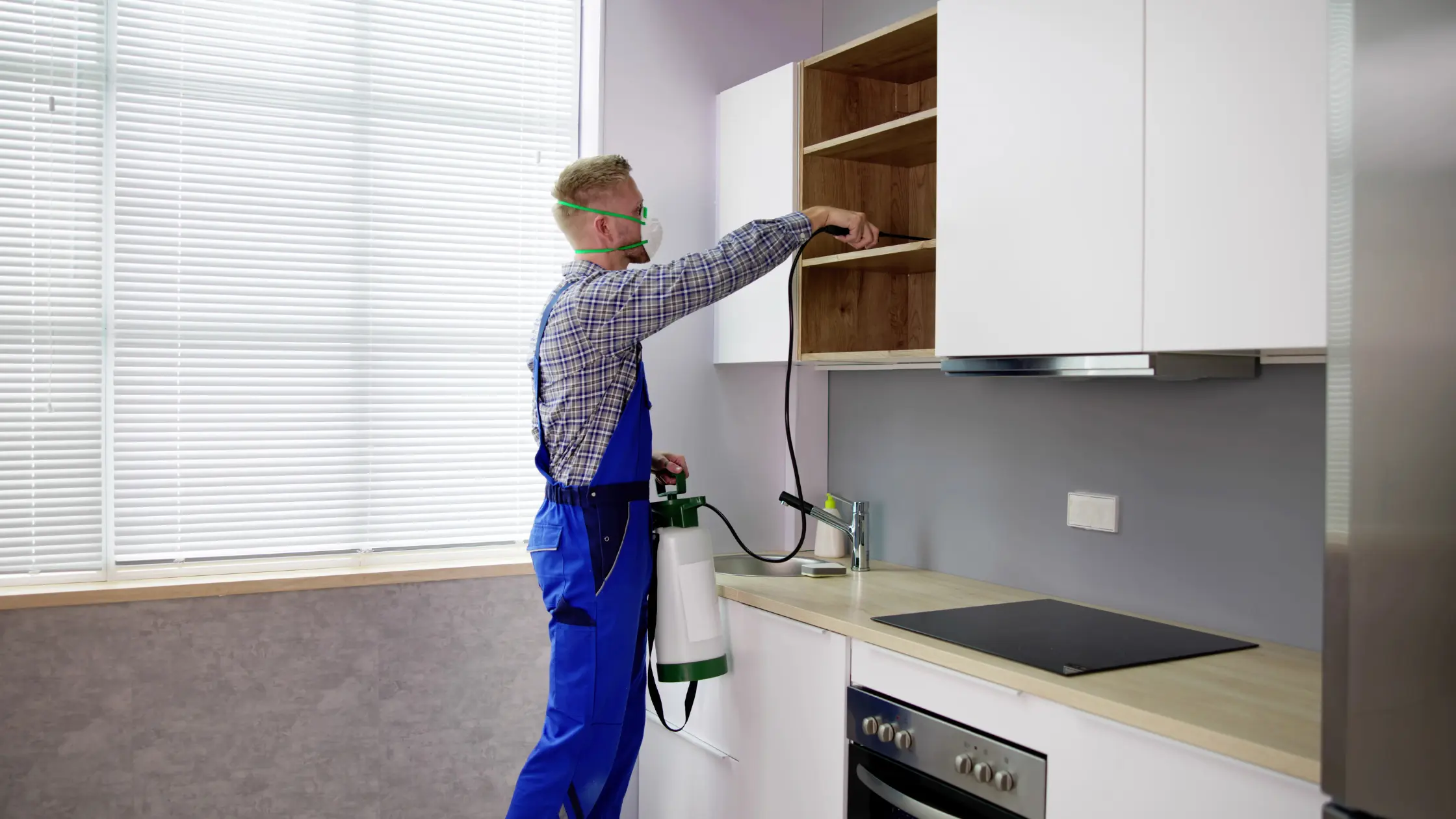 Why Regular Pest Services Are Key to a Pest-Free Home