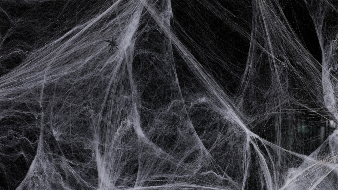 The Truth About Scary Spiders (and How Pest Control Can Help)
