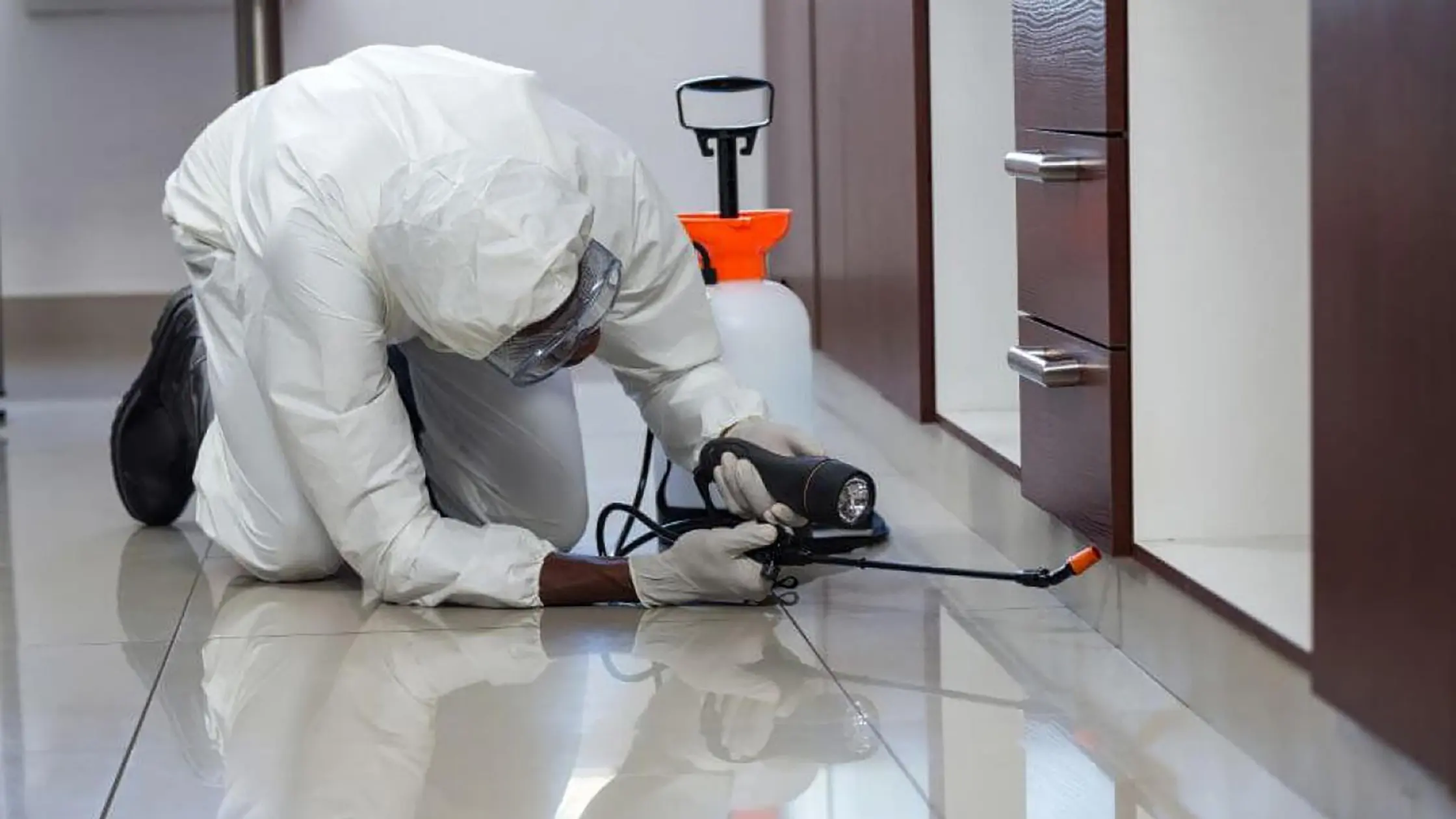 View of technician on floor spraying pesticide under cabinet.