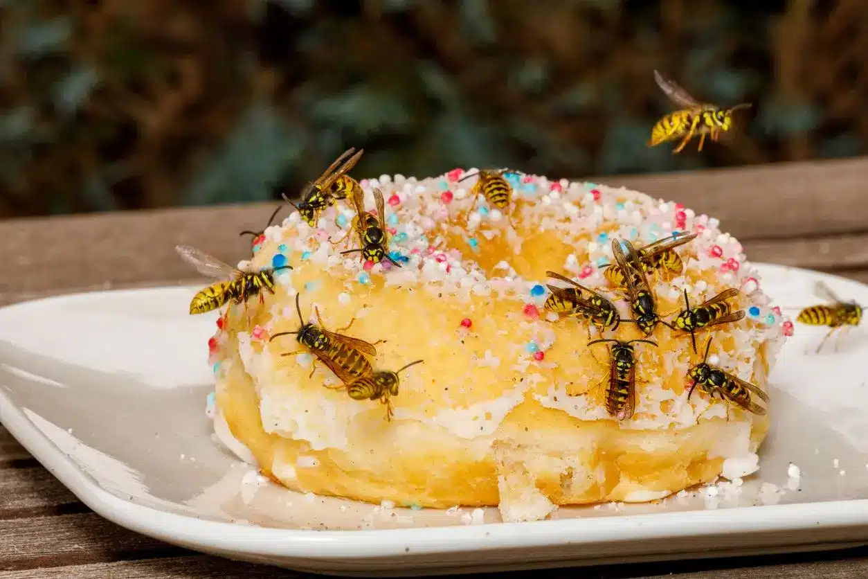 A sprinkled donut covered with yellow jackets feeding on the icing.