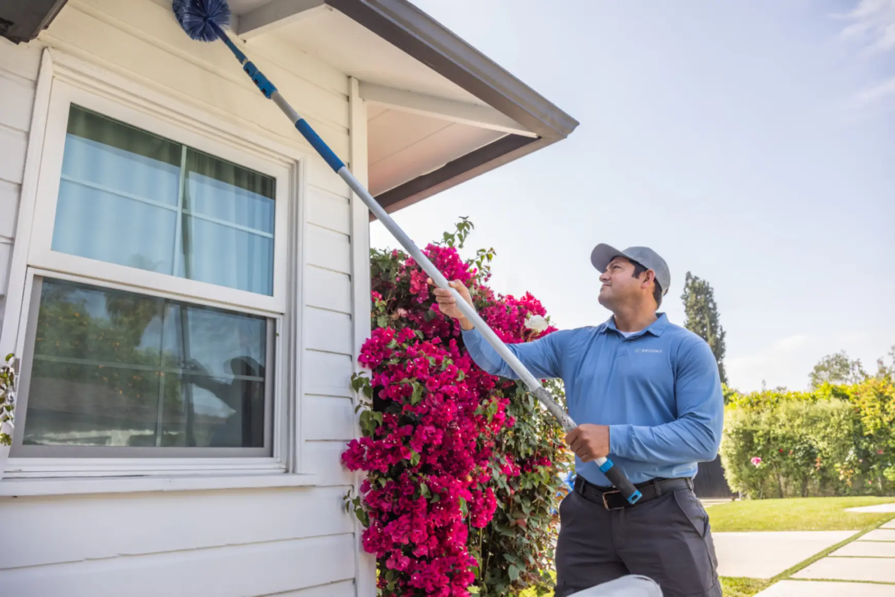 Termite Pest Control Service in Atlanta, Georgia
