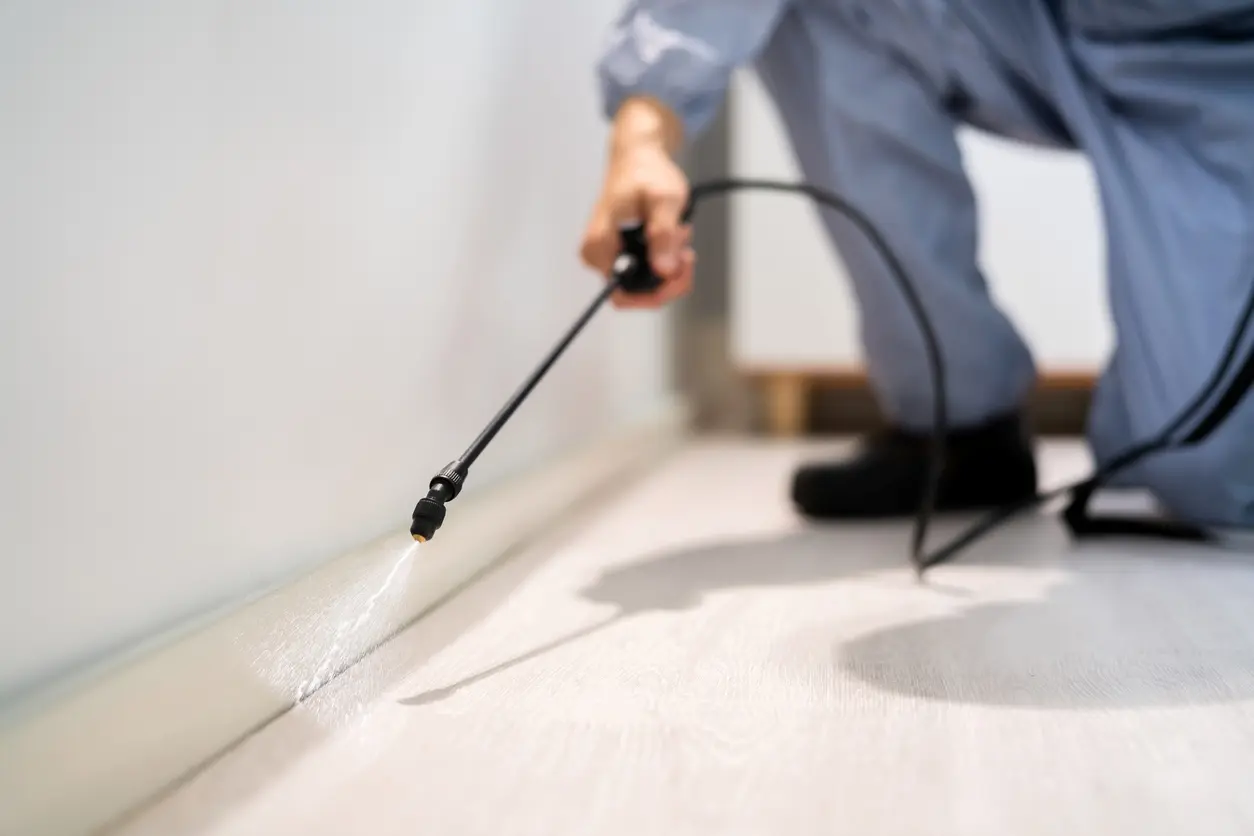 A pest control specialist applies a spray treatment to the kitchen floor.