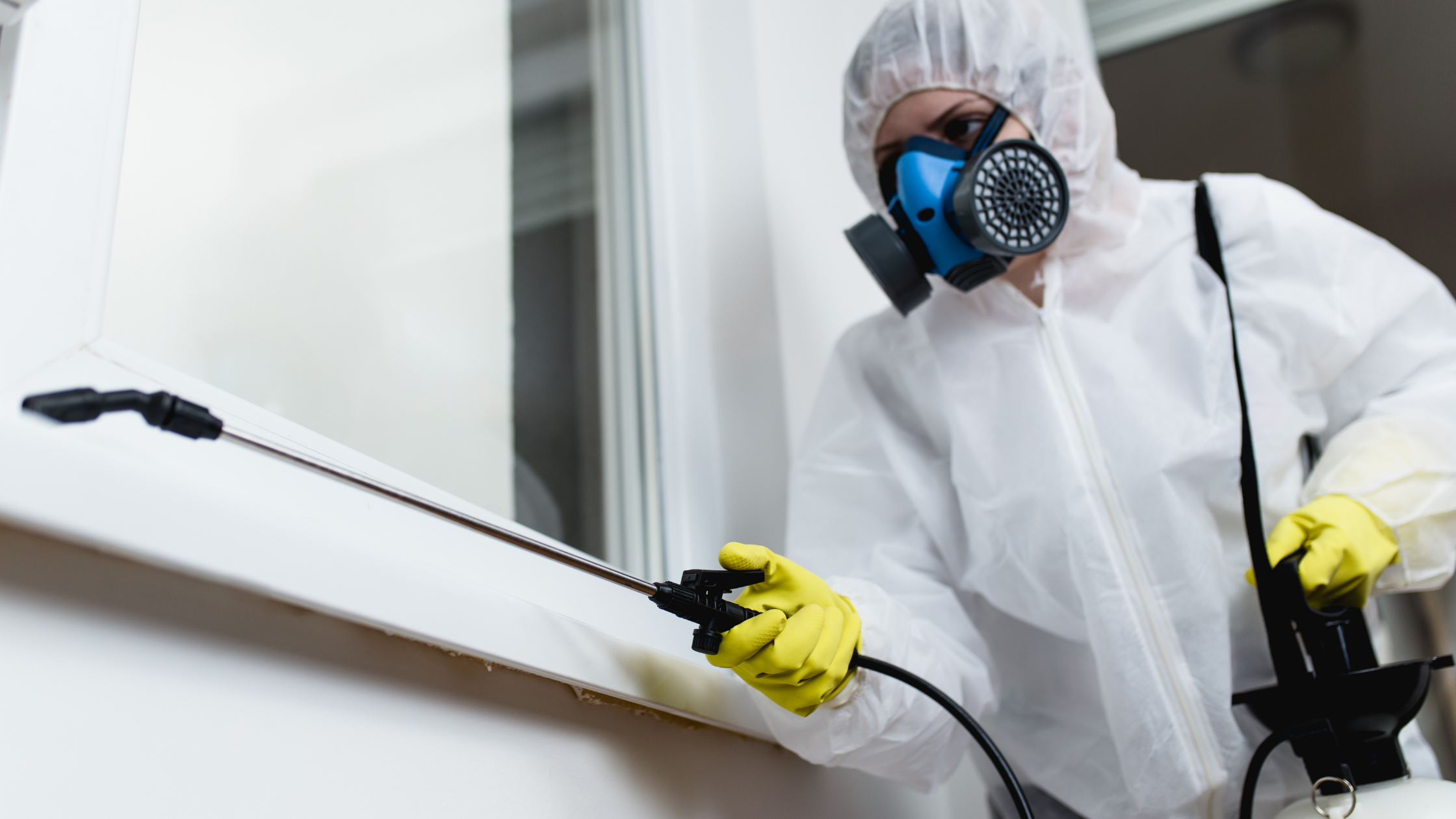 Fort Worth Exterminator Solutions for Residential Homes